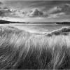 Sea Grass
County Donegal
Ireland