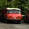 Red Busses at Glacier NP
Montana