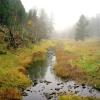 French Creek
Custer State Park
South Dakota